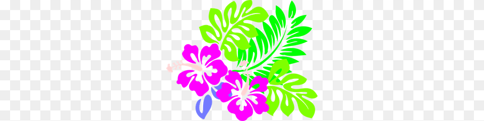 Hibiscus Hot Pink Flowers Tri Colored Green Leaves Clip Arts, Flower, Herbal, Herbs, Plant Png