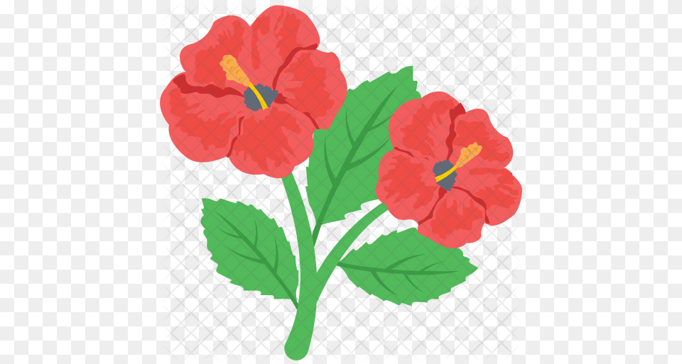 Hibiscus Icon Hawaiian Hibiscus, Flower, Plant Png