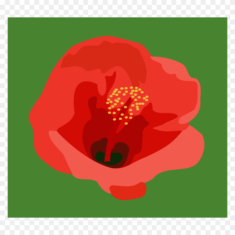 Hibiscus Icons, Flower, Plant, Anther, Petal Png