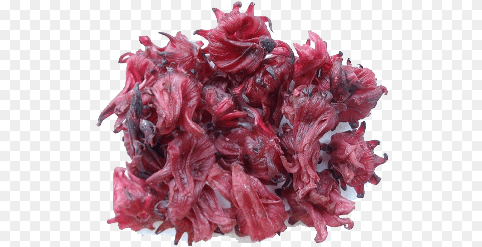 Hibiscus Known As Sour Tea A Delicious And Refreshing Hibiscus Flower Dry, Food, Meat, Mutton Png