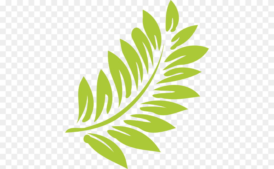 Hibiscus Leaf Hibiscus Leaf Hawaiian Flower Clipart, Art, Floral Design, Graphics, Herbal Free Transparent Png