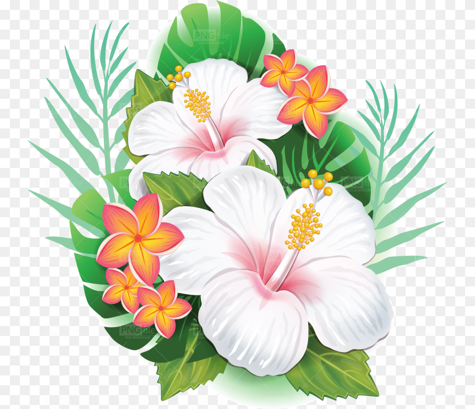 Hibiscus Leaves Pattern, Flower, Plant, Flower Arrangement, Flower Bouquet Png