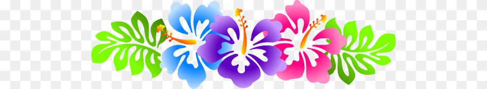 Hibiscus Line Border Clip Art, Floral Design, Flower, Graphics, Pattern Png