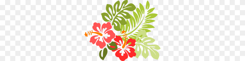Hibiscus Md Pixels Hawaiian Quilts, Flower, Plant, Herbal, Herbs Png Image