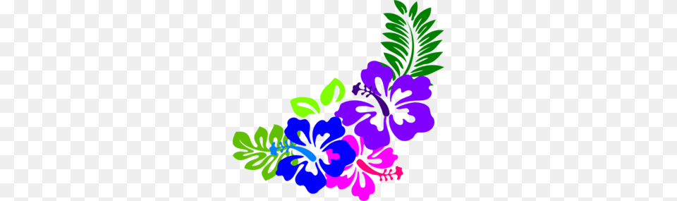 Hibiscus Nat Clip Art, Plant, Graphics, Flower, Purple Free Png Download
