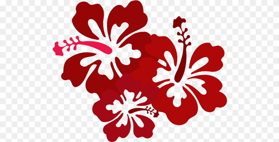 Hibiscus Pic Hawaiian Flowers Clip Art, Flower, Plant, Geranium Png Image