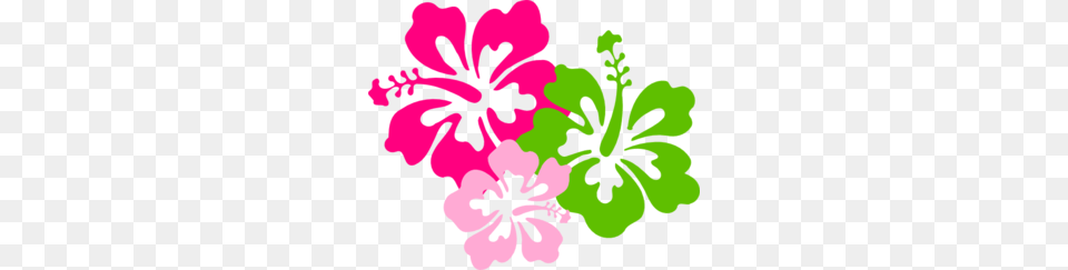 Hibiscus Pink Green Clip Art, Flower, Geranium, Plant, Person Free Transparent Png