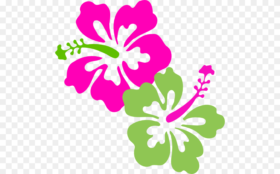 Hibiscus Pink Lime Green Clip Art Clipart Hibiscus Flower, Plant Png Image
