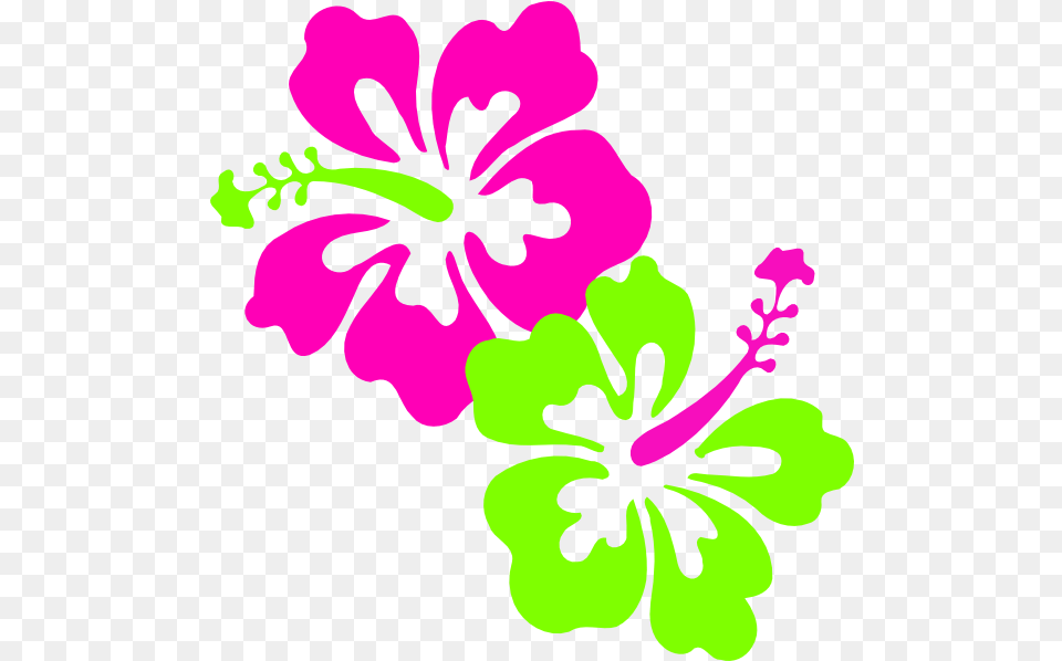 Hibiscus Pink Lime Green Clip Art Easy Hibiscus Flower Drawing, Plant, Geranium Png