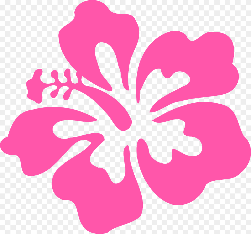 Hibiscus Pink Tropical Flower Floral Bloom Hawaiian Flowers Background, Plant, Person Png