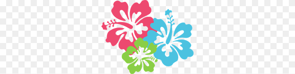 Hibiscus Pinkbluegreen Clip Arts For Web, Flower, Plant, Person Png