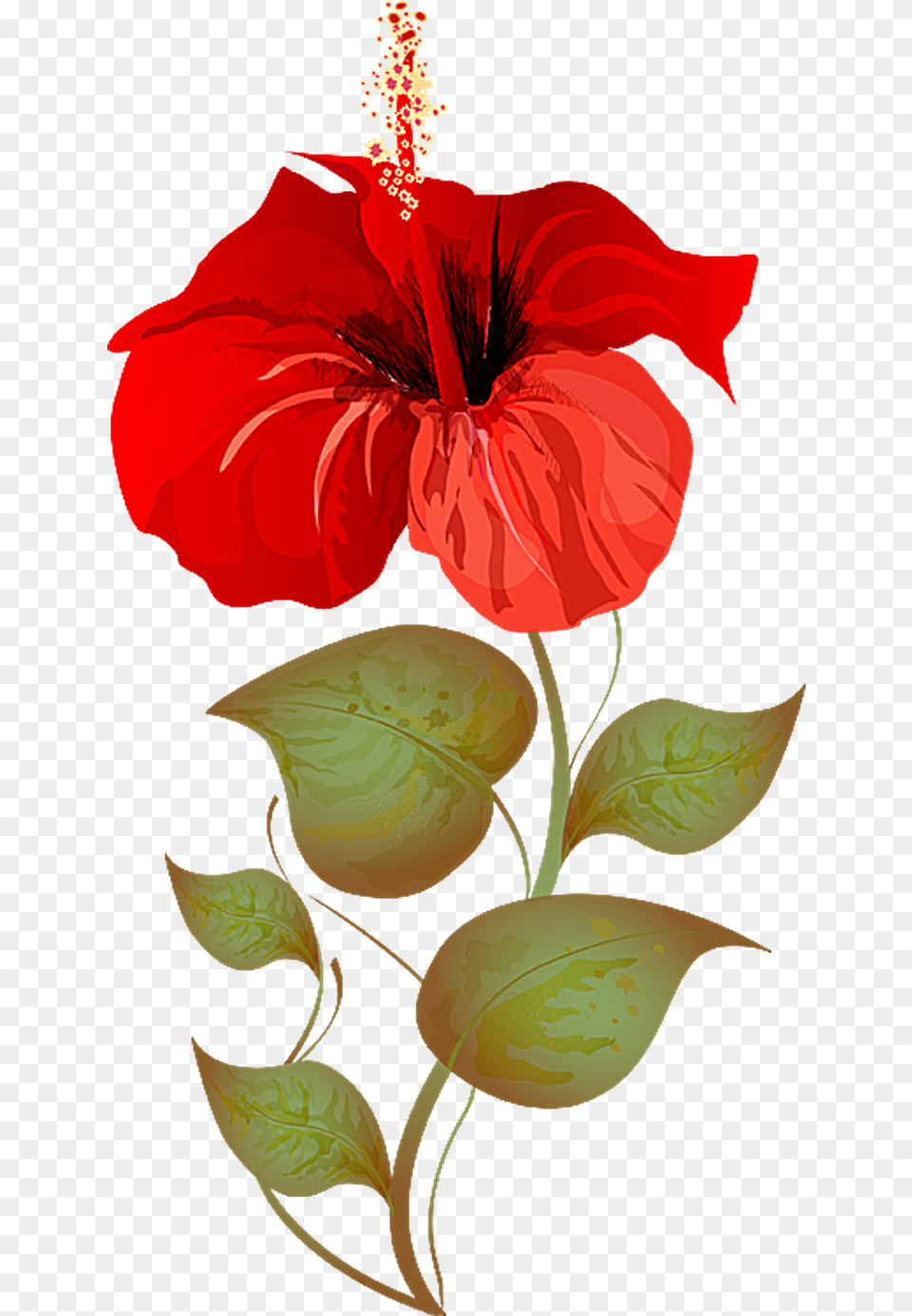 Hibiscus Plant Clipart, Flower, Rose Free Png Download