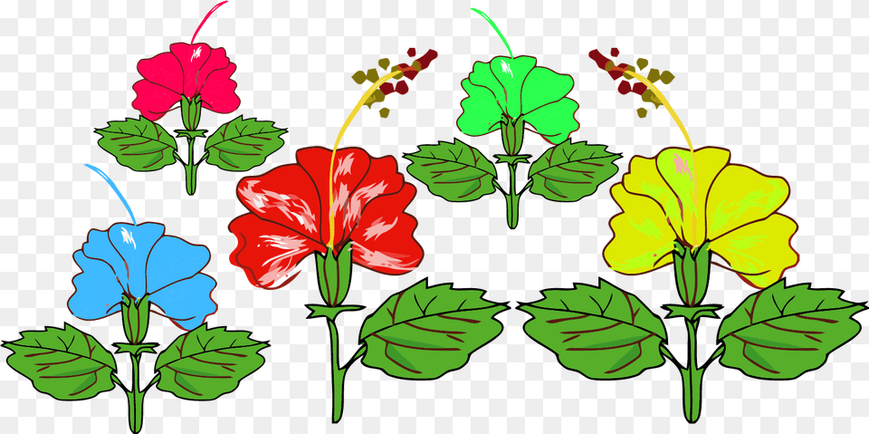 Hibiscus Red Flower Chinese Hibiscus Clipart Full Shoeblackplant, Geranium, Plant, Rose Free Png Download