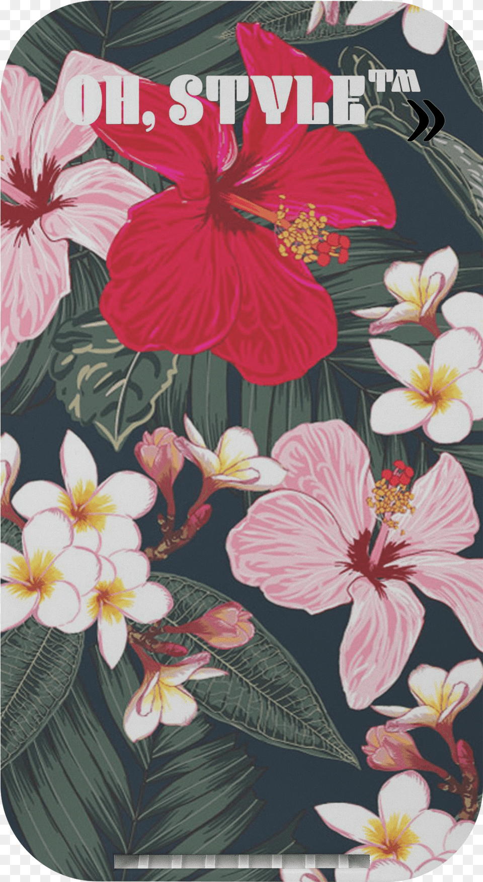 Hibiscus Seamless Flower Pattern, Plant, Person Png Image
