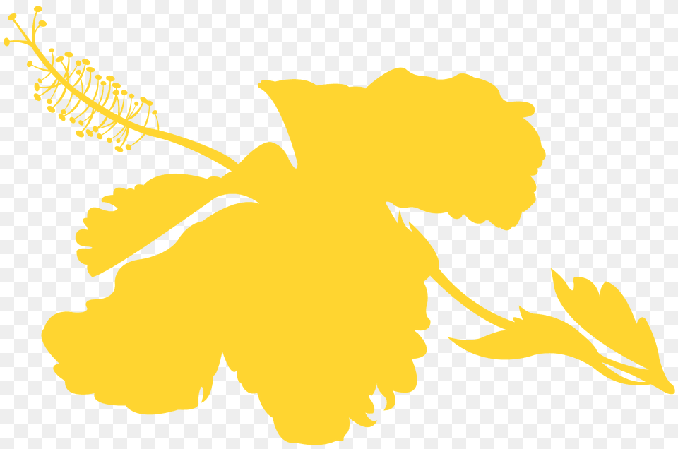 Hibiscus Silhouette, Flower, Plant, Daffodil Free Png Download