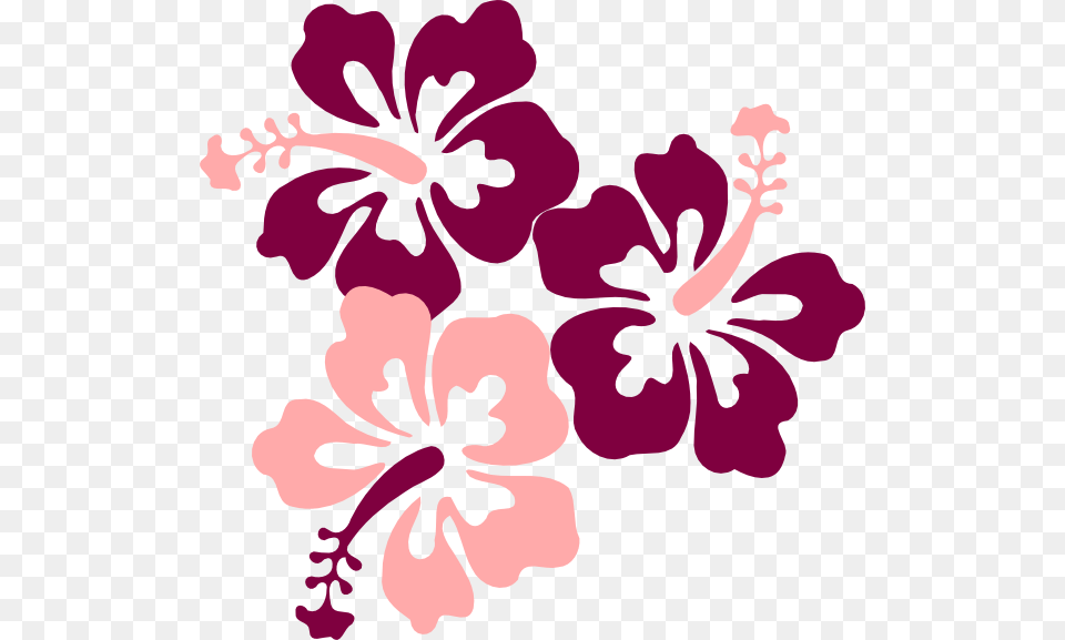 Hibiscus Svg Clip Arts Transparent Background Hawaiian Flower Clipart, Plant, Animal, Bird Free Png