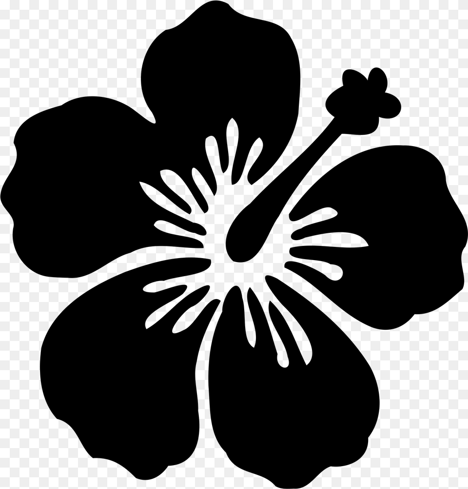 Hibiscus Svg Hibiscus Flower Silhouette, Gray Free Transparent Png