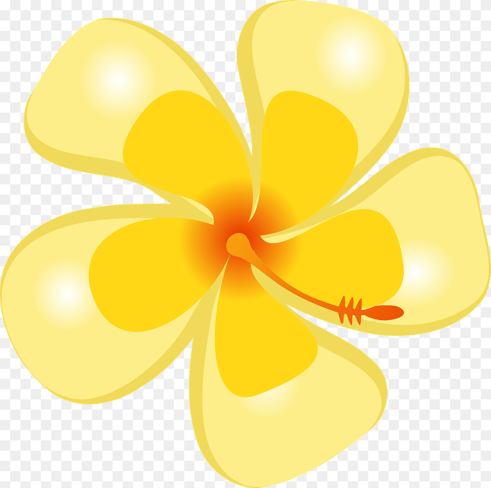 Hibiscus Tropical Flower Tropical Flower Yellow, Plant, Petal, Anther, Moon Free Png Download