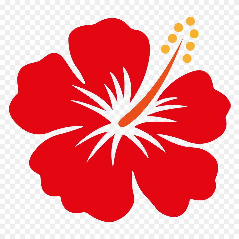 Hibiscus Vector, Flower, Plant Png