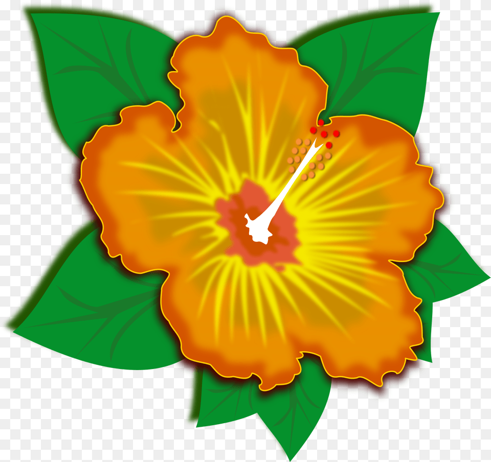 Hibiscusplantflower, Flower, Plant, Hibiscus, Anther Png Image