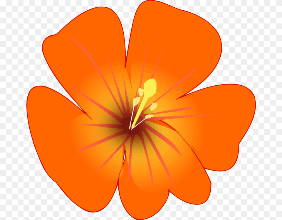 Hibiscusplantflower Clip Art, Anther, Flower, Geranium, Petal Png Image