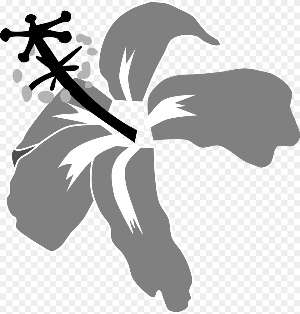 Hibiskus Clipart, Flower, Plant, Hibiscus, Animal Png