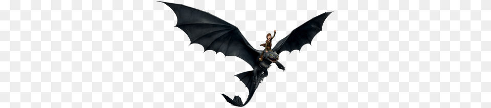 Hiccup Flying On Toothless, Baby, Person, Animal, Fish Png Image