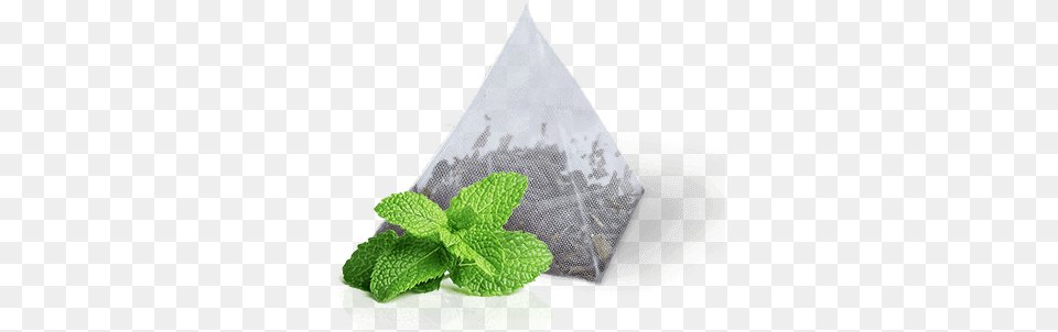 Hidden Garden Peppermint Herbal Tea Mint Flavour, Plant, Herbs, Adult, Wedding Free Png Download