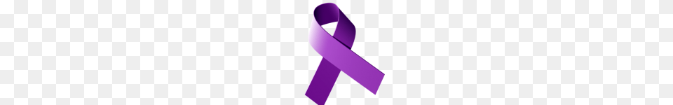 Hidden In Plain Sight A Call To End Domestic Violence The South, Purple, Accessories, Belt Free Transparent Png
