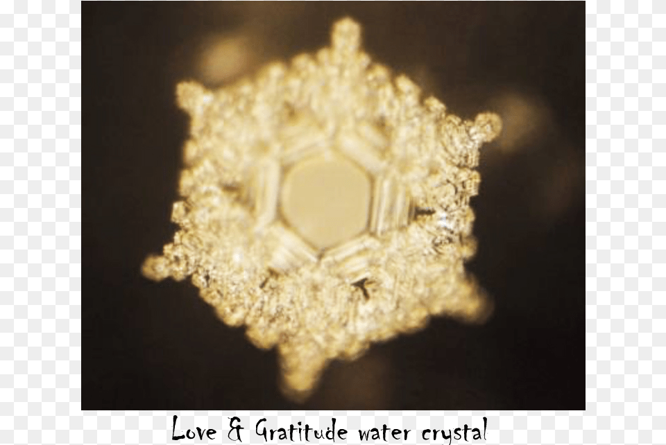 Hidden Messages In Water Love, Accessories, Jewelry, Diamond, Gemstone Png