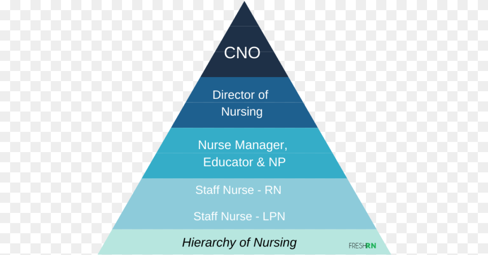 Hierarchy Of Nursing Triangle Free Transparent Png