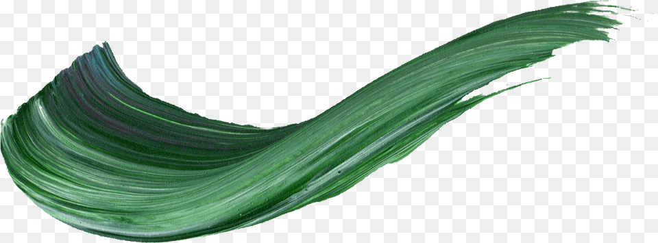 Hierochloe, Plant, Food, Leek, Produce Png