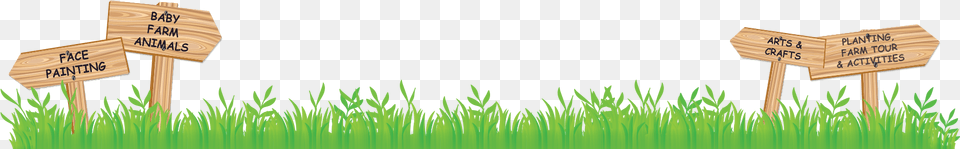 Hierochloe, Grass, Green, Plant, Lawn Png