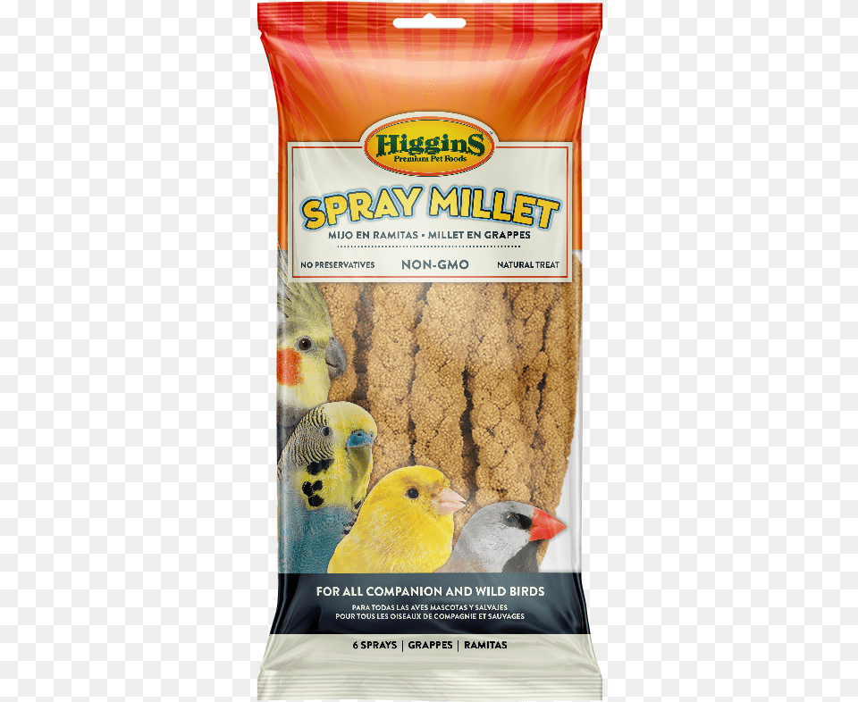 Higgins Spray Millet, Animal, Bird Free Png Download