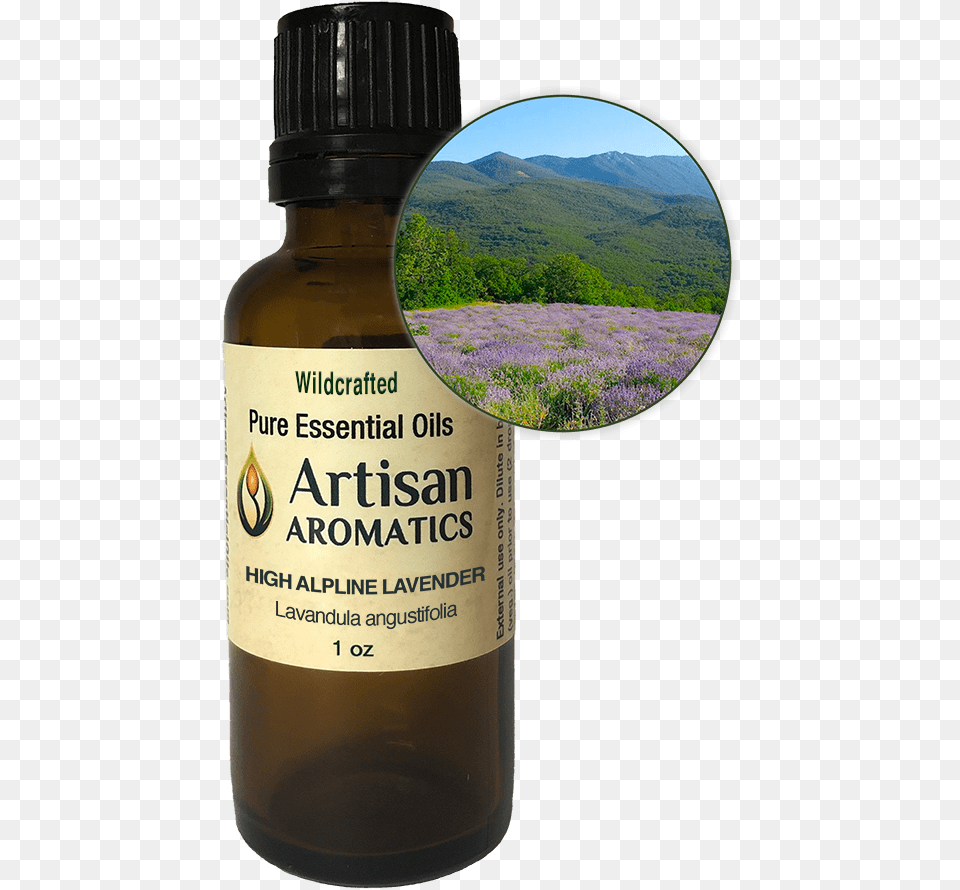High Alpine Lavender Essential Oil Essential Oil, Herbal, Herbs, Plant, Flower Free Png