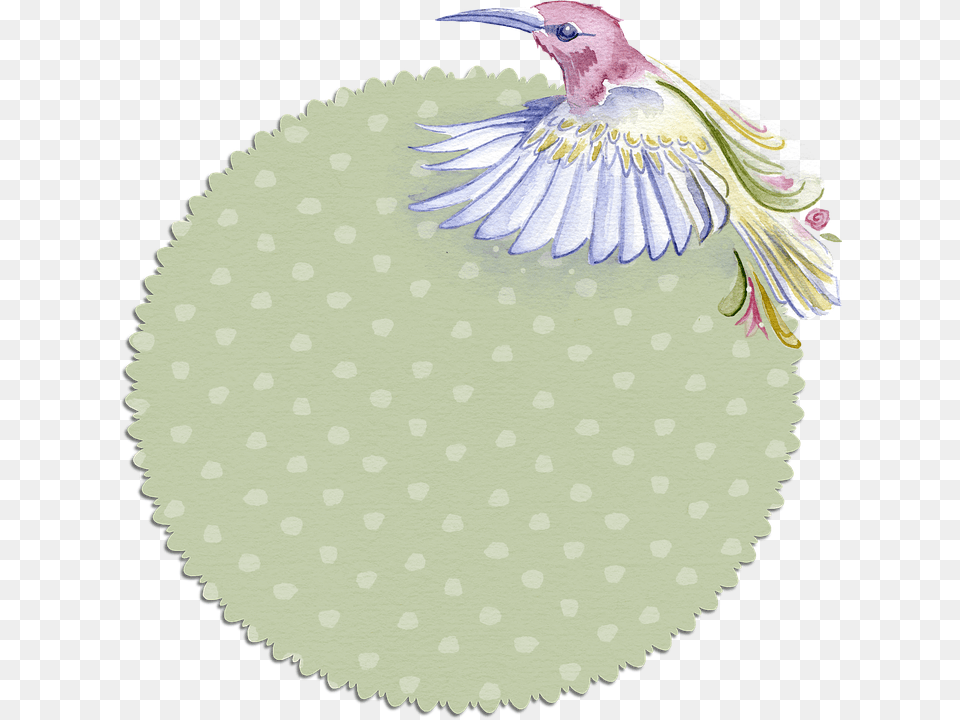 High Court Of Australia Seal, Animal, Bird, Pattern, Jay Free Transparent Png