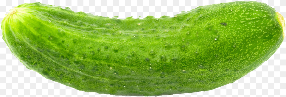High Definition Cucumber Picture Download Have A Kosher Pickle Wall Calendar, Food, Plant, Produce, Vegetable Png