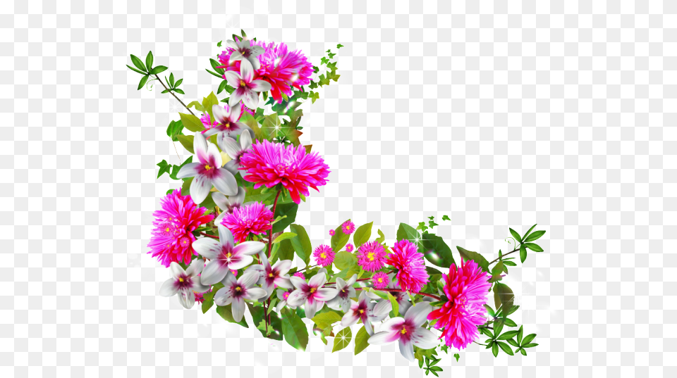 High Definition Flower Border Flowers High Definition Flower Border, Art, Pattern, Graphics, Flower Bouquet Free Png