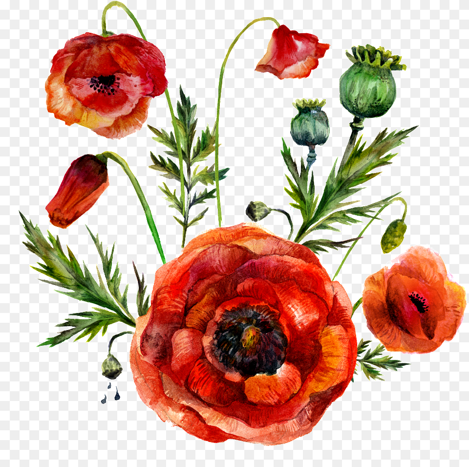 High Definition Flower Picture Deer Fabric Deer In Love Christmas Florals With Stripes, Plant, Poppy, Rose, Anemone Png Image