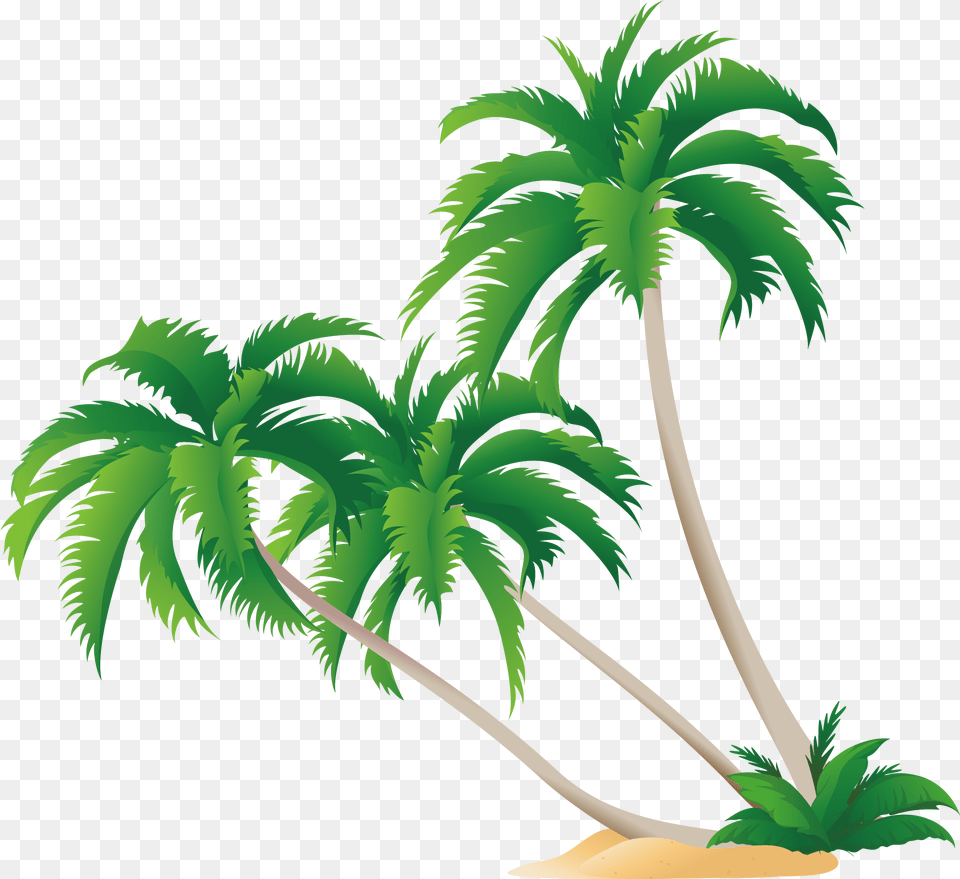 High Definition Video Display Resolution Wallpaper Palm Clipart Coconut Tree Vector, Palm Tree, Plant, Vegetation, Leaf Free Png Download