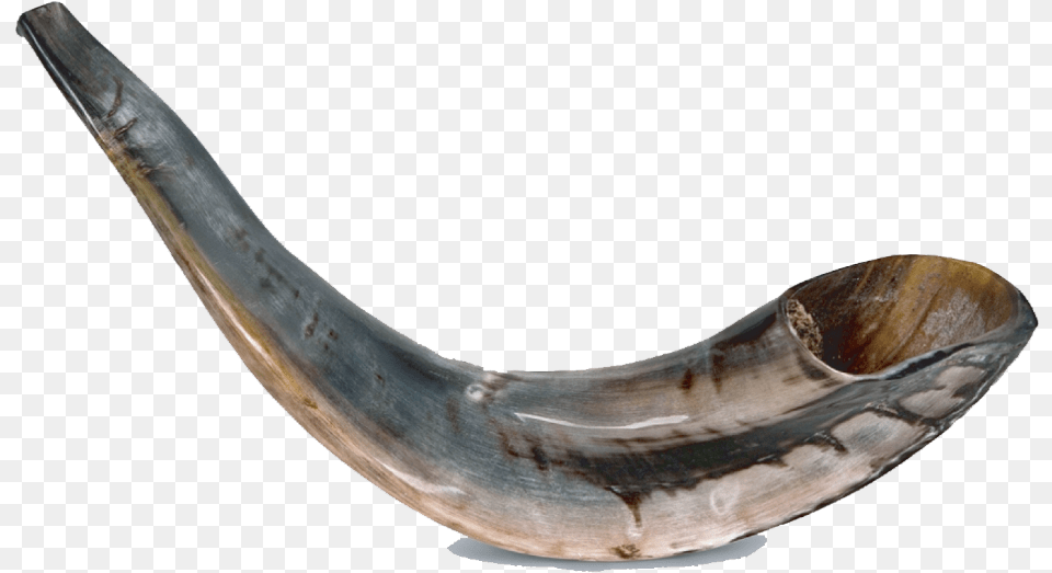 High Holiday Rsvp Classical Ram39s Horn Shofar Medium Polished Dark, Brass Section, Musical Instrument Free Png Download