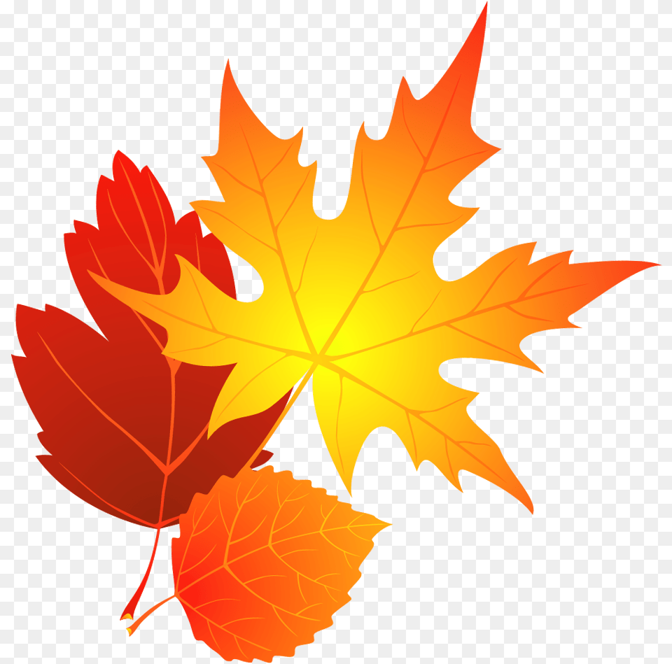 High Quality Falling Leaves Autumn Leaves Clipart, Leaf, Plant, Tree, Maple Leaf Free Png Download