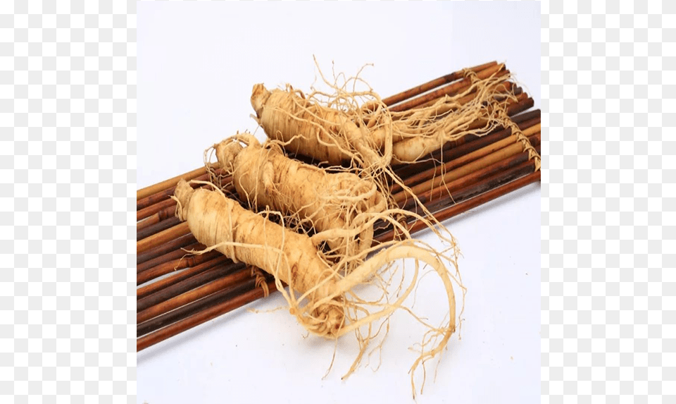 High Quality Natural Plant Ginseng Tincture Welsh Onion Free Png Download