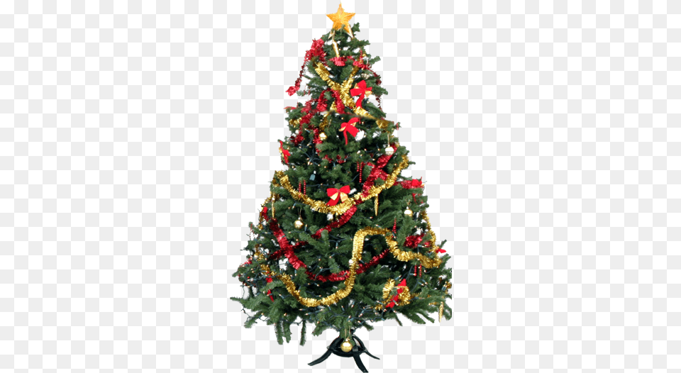 High Res Christmas Tree, Plant, Christmas Decorations, Festival, Christmas Tree Png Image
