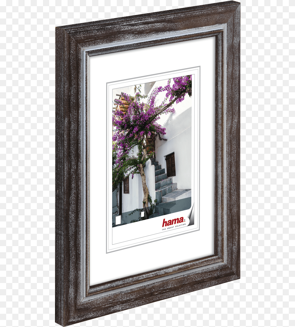 High Res Image, Flower, Flower Arrangement, Plant, Flower Bouquet Free Png Download