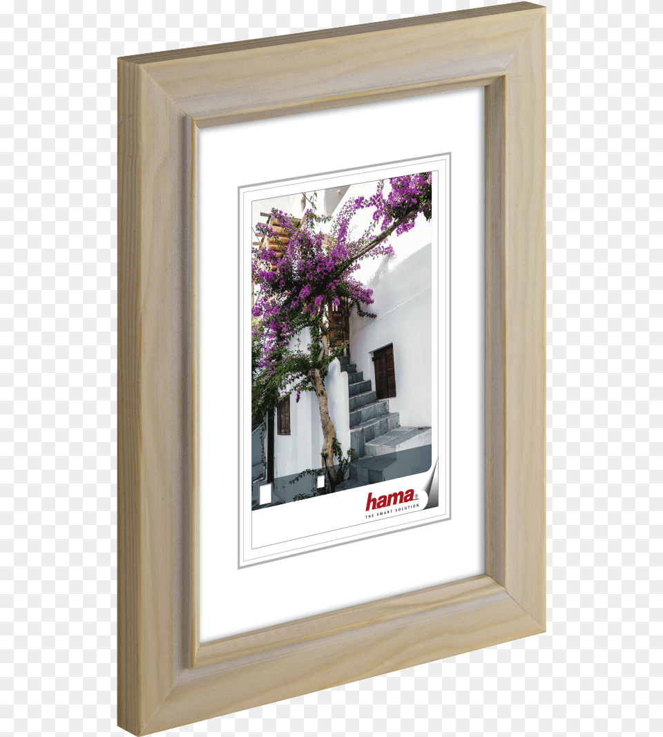 High Res Picture Frame, Flower, Flower Arrangement, Plant, Photo Frame Free Png