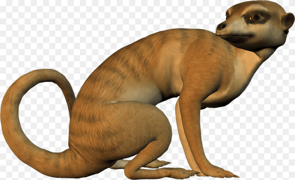 High Resolution Graphics And Clip Art Clipart Meerkat, Animal, Canine, Dog, Mammal Png Image