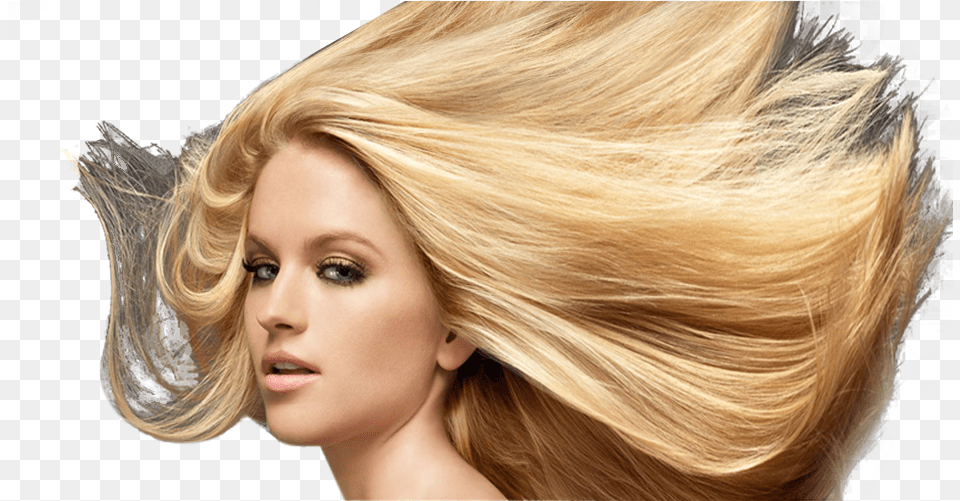High Resolution Hair Model Hi Res Hair Style, Adult, Person, Woman, Female Png