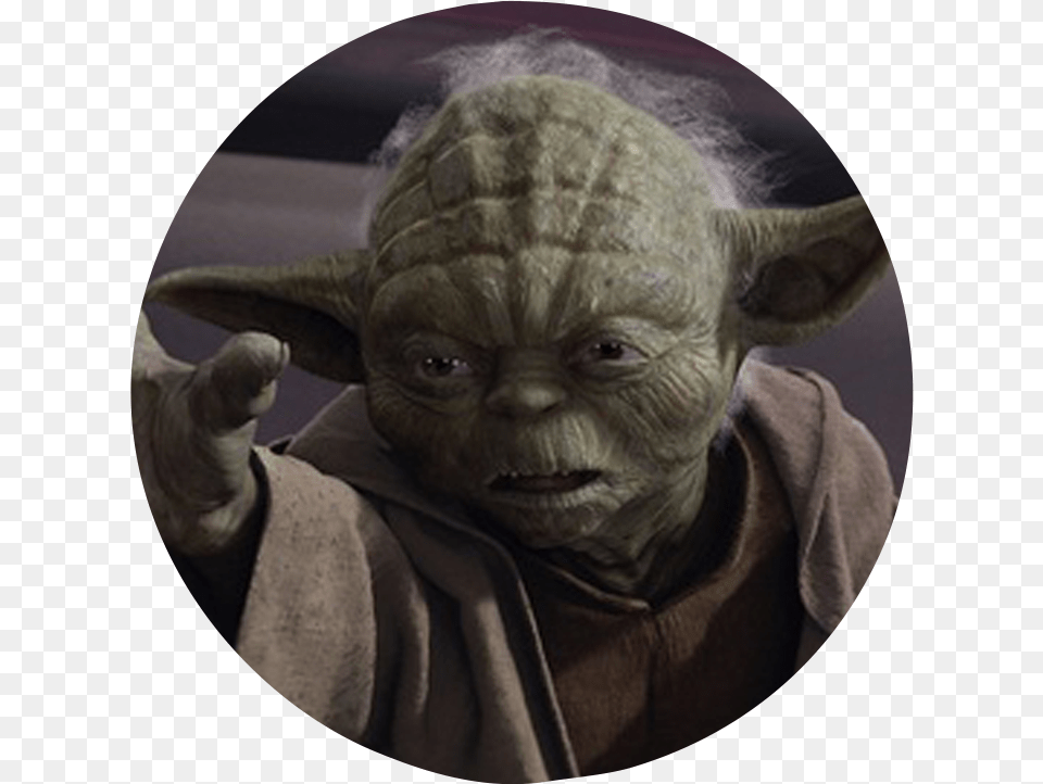 High Resolution Of Yoda, Alien, Face, Head, Person Png Image
