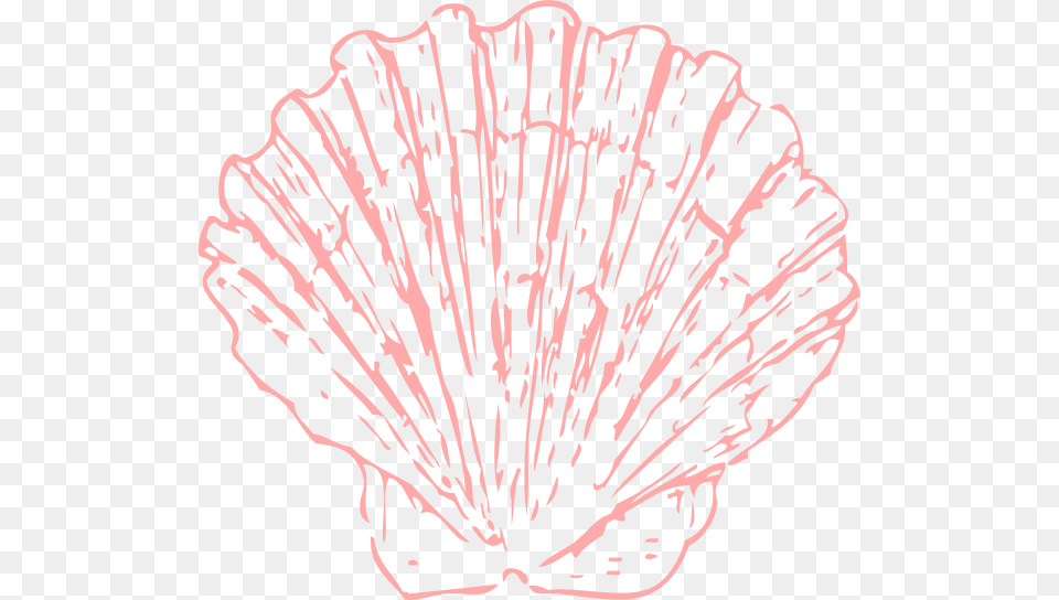 High Resolution Seashell Icon Coral Shell Clipart, Animal, Clam, Food, Invertebrate Free Png Download
